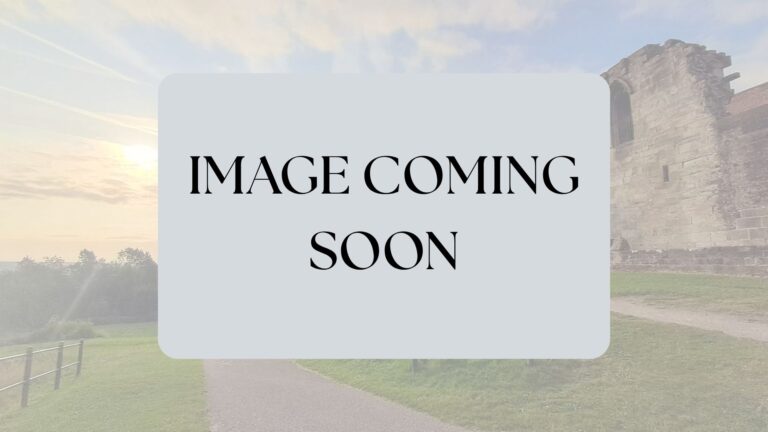 Image coming soon